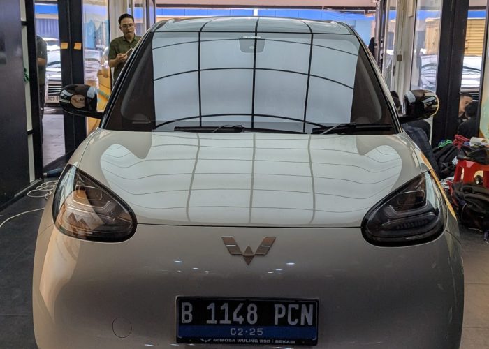 PXL_20250201_060344140