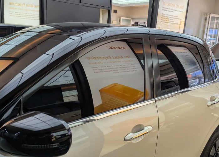 PXL_20250201_060353844